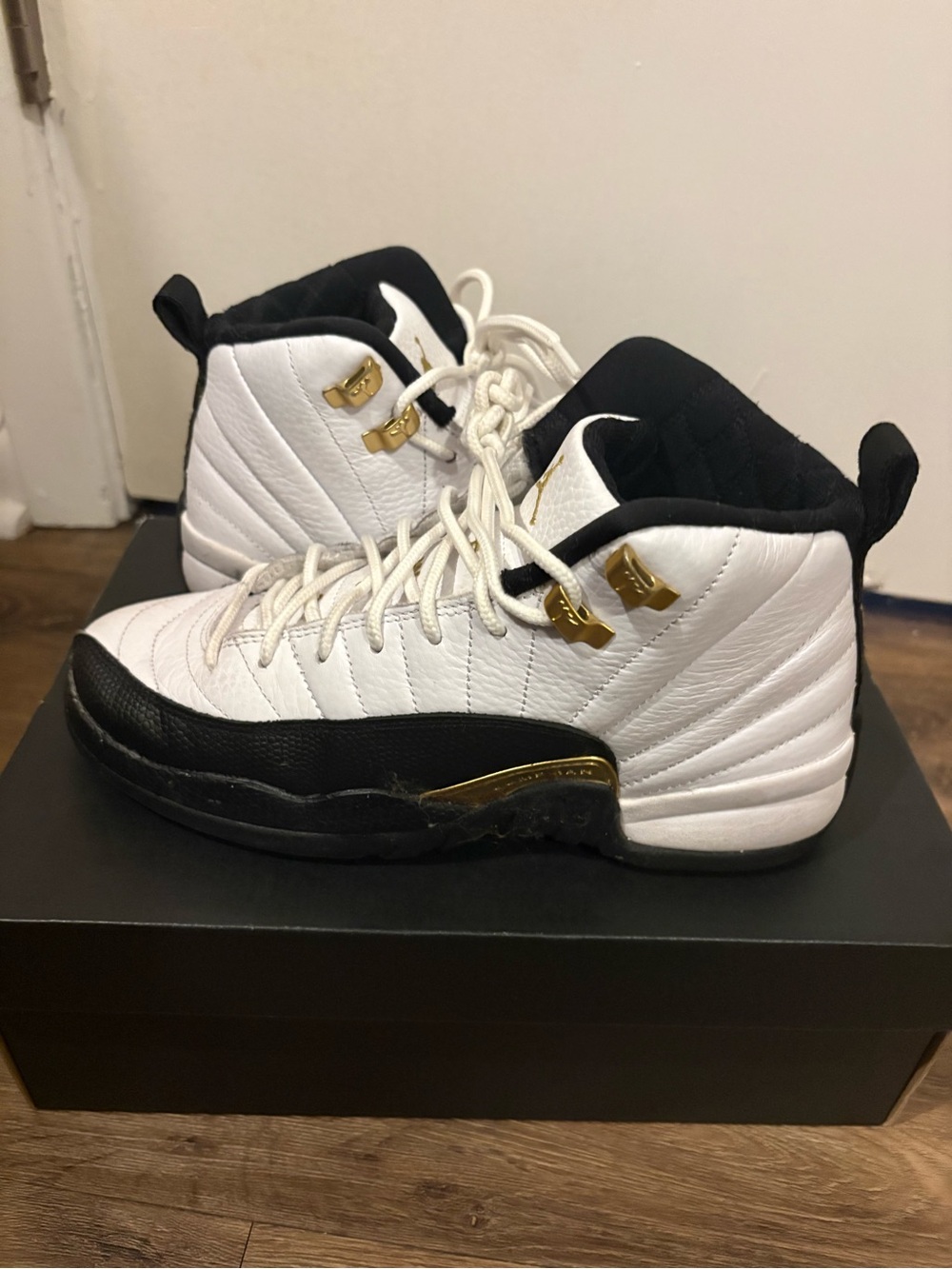 jordan 12 retro shoes